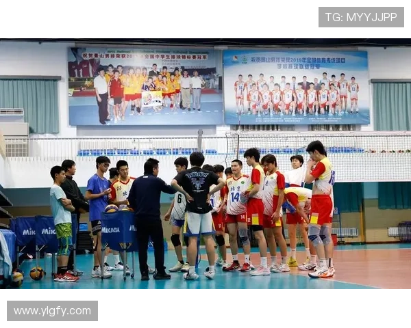 全国锦标赛回顾:成都排球队速度优势助力夺冠之路